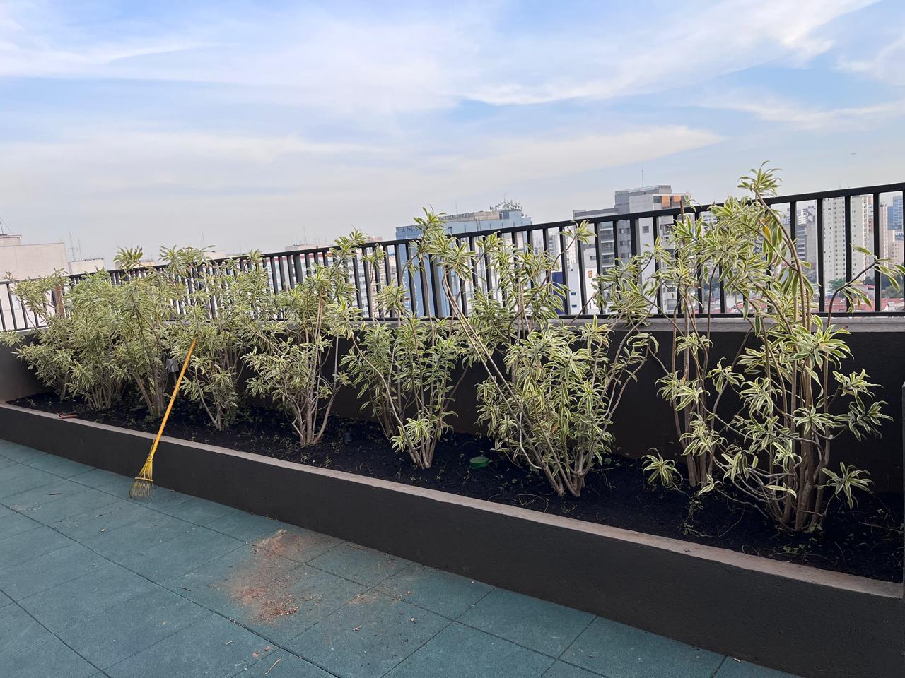 Canteiro em primeiro plano, com diversas espécies de plantas e pássaros em um galho.